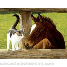 SunsOut Whiskery Hello Horse and Cat Puzzle 500 Piece Jigsaw Puzzle  B01K7MWGZW